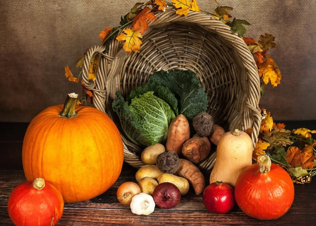 gesunde vegetarische rezepte