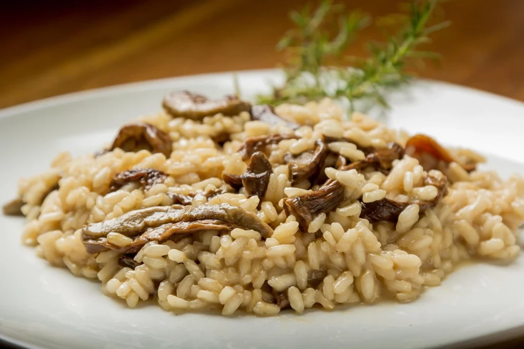 gerichte ohne fleisch